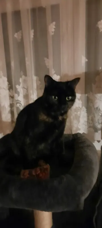 Mia, Burghausen
