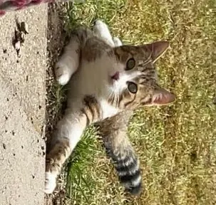 Leo, Burghausen