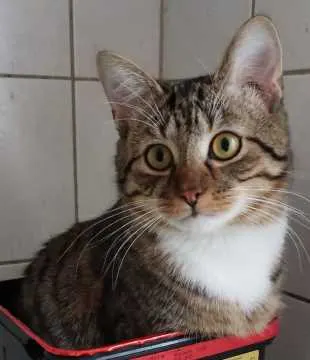 Baby, Neunkirchen