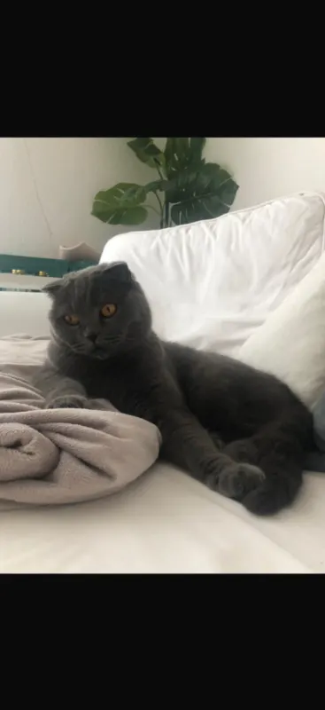 Filou, Leipzig