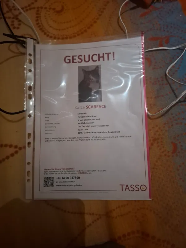Scarface, Garmisch-Partenkirchen