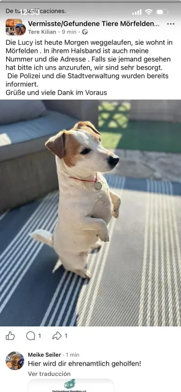 Lucy, Mörfelden-Walldorf