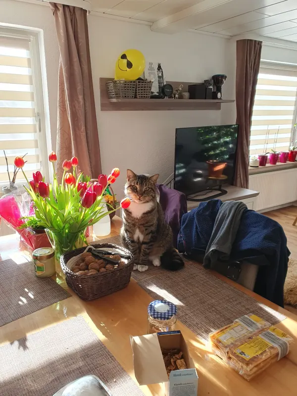 Max, Uelzen