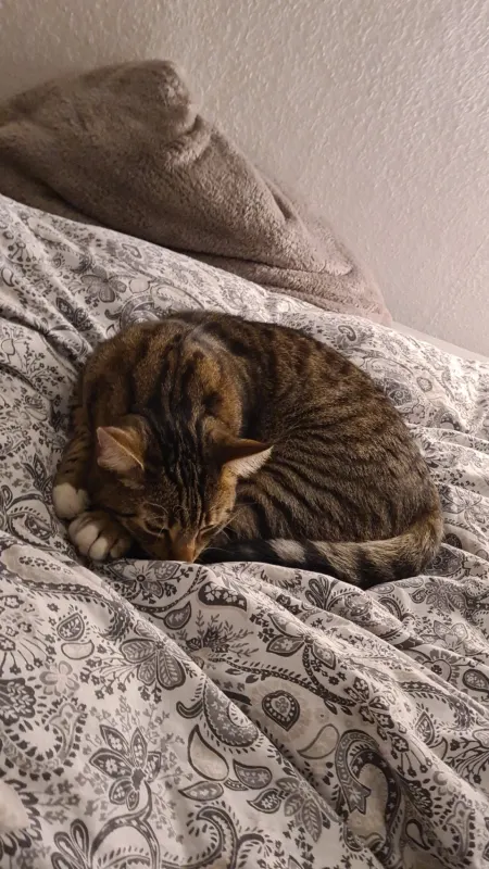 Rocky, Wetter