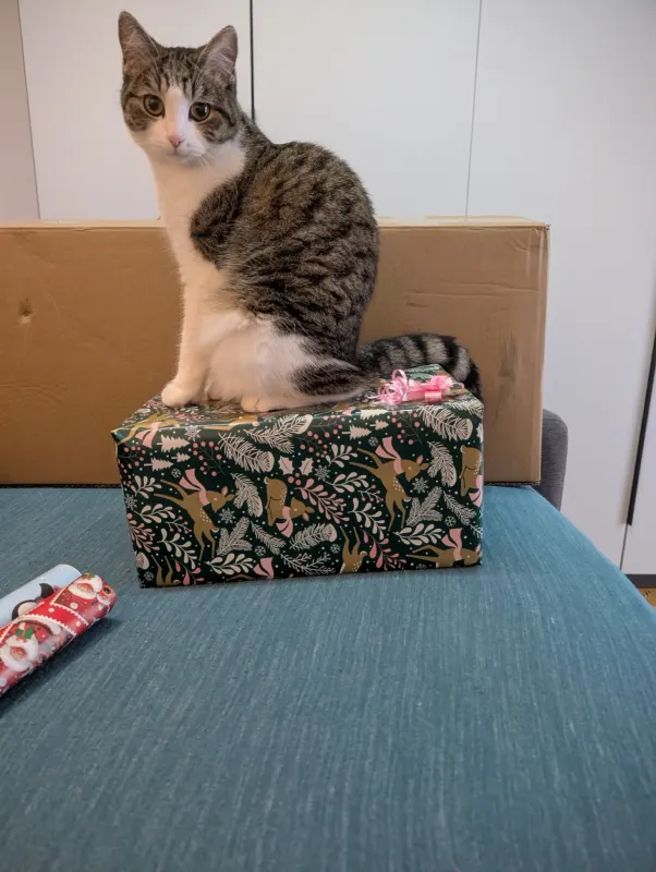 Bella, Bruchsal