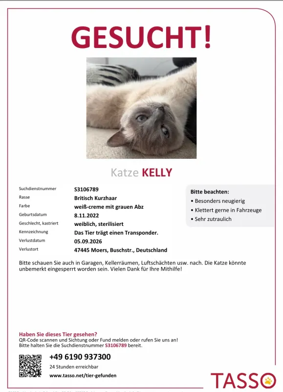 Kelly, Moers