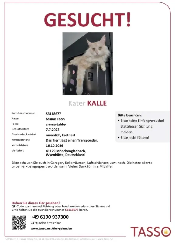 Kalle, Wegberg