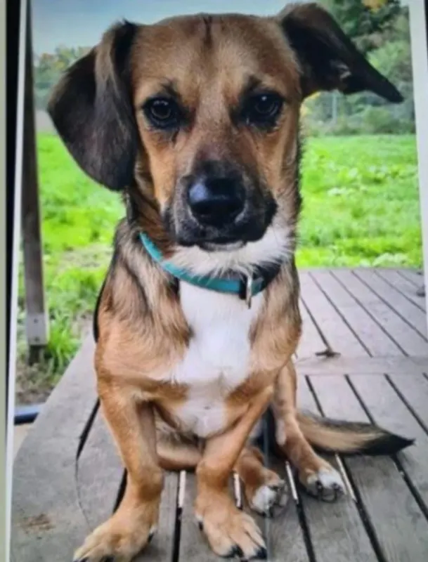 Kody, Mönchengladbach