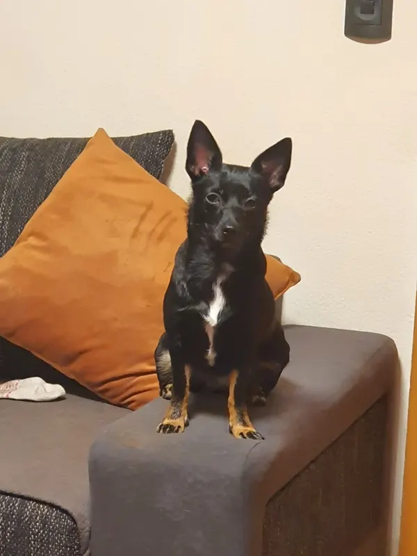 Suki, Mönchengladbach