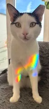 Walter, Panketal