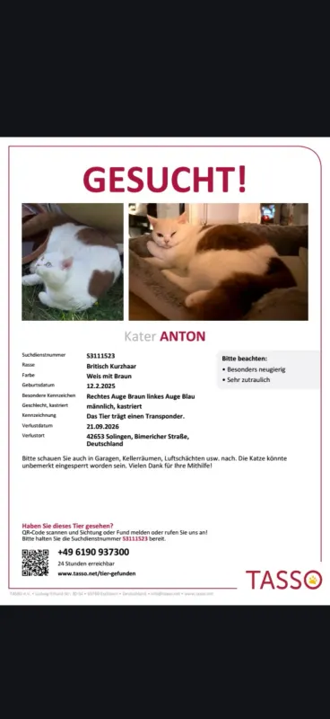 Anton, Solingen