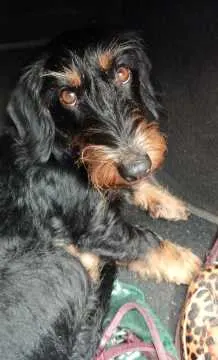 Louise, Stolberg (Rhld.)