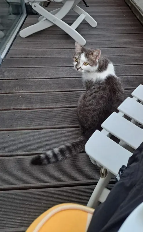 Finny, Herrenberg