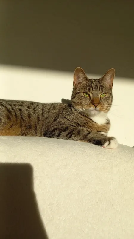 Mily, Mölln