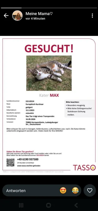 Max, Ludwigsburg