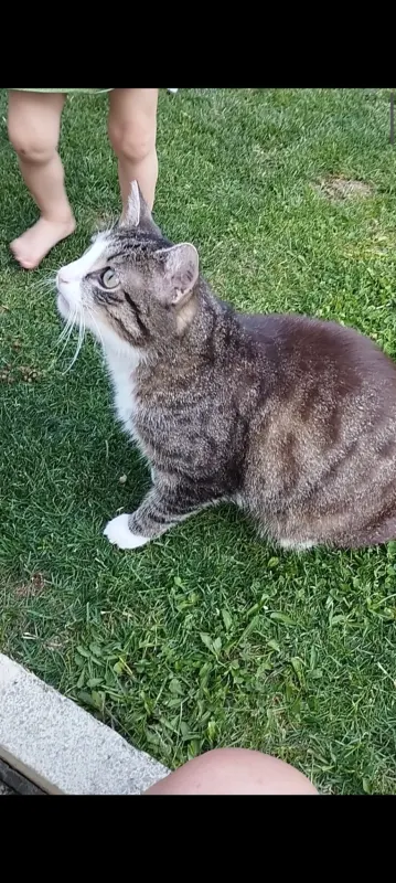 Trixie, Reutlingen