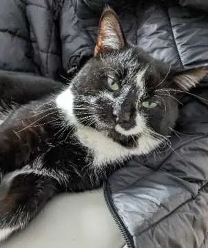 Sonic, Linkenheim-Hochstetten