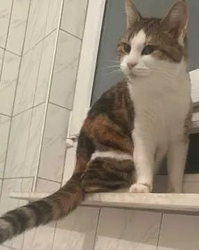 Maggie, Pfullingen