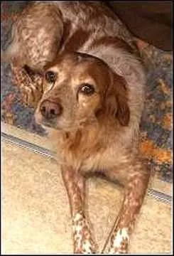 Mia, Lupburg