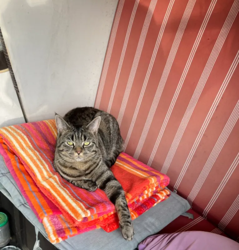 Lilly, Fürstenfeldbruck