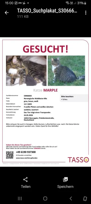 Marple, Neuruppin