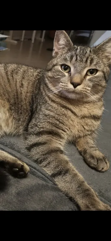 Jack, Lübeck