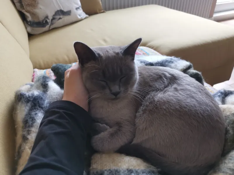 Nyx, Lübeck