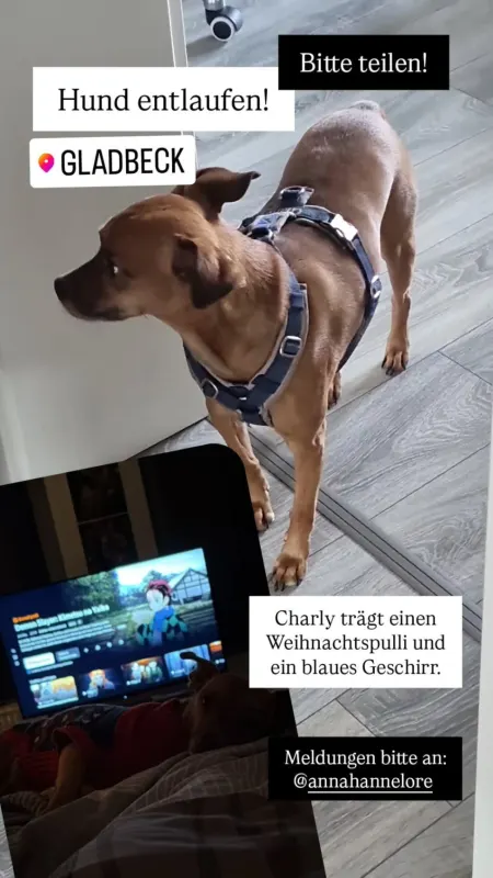 Charly, Gladbeck