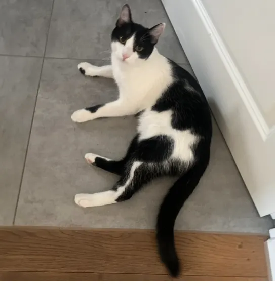 Milo, Moosburg