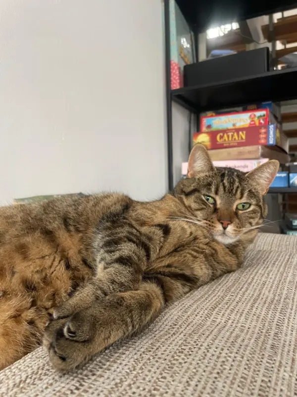 Polly, Bochum