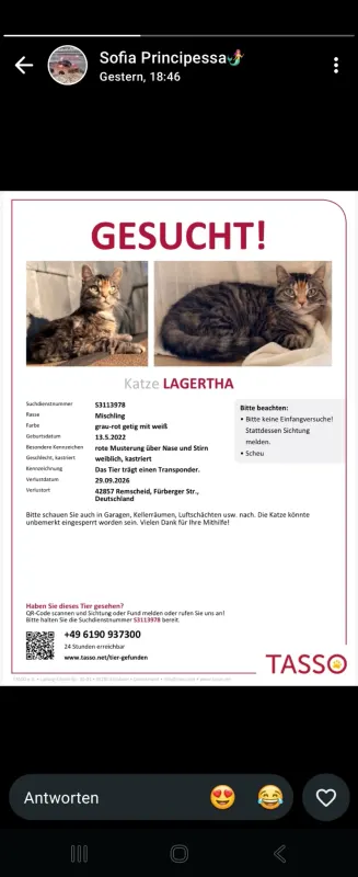 Lagertha, Remscheid