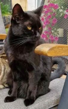Blacky, Bünde