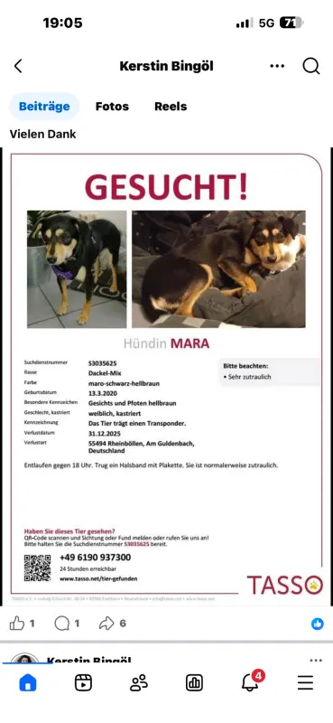 Mara, Bingen am Rhein