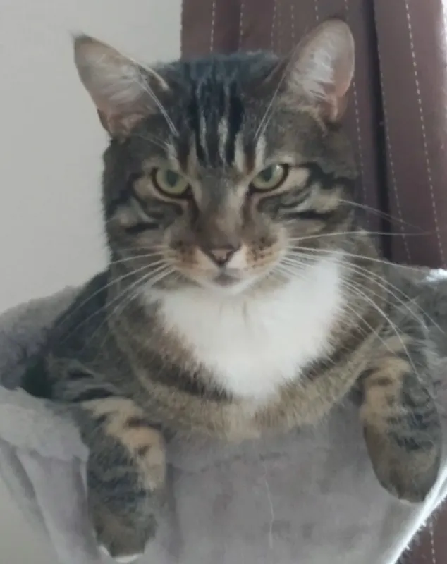 Eddie, Neustadt in Holstein