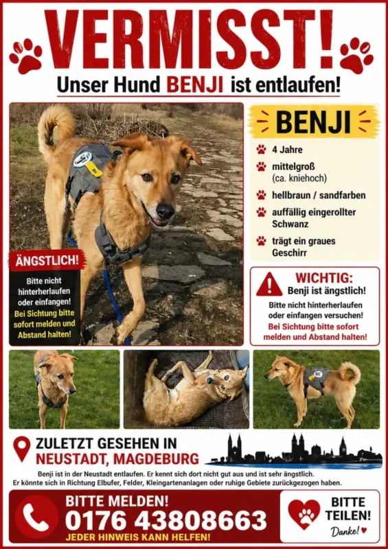 Benji, Neue Neustadt