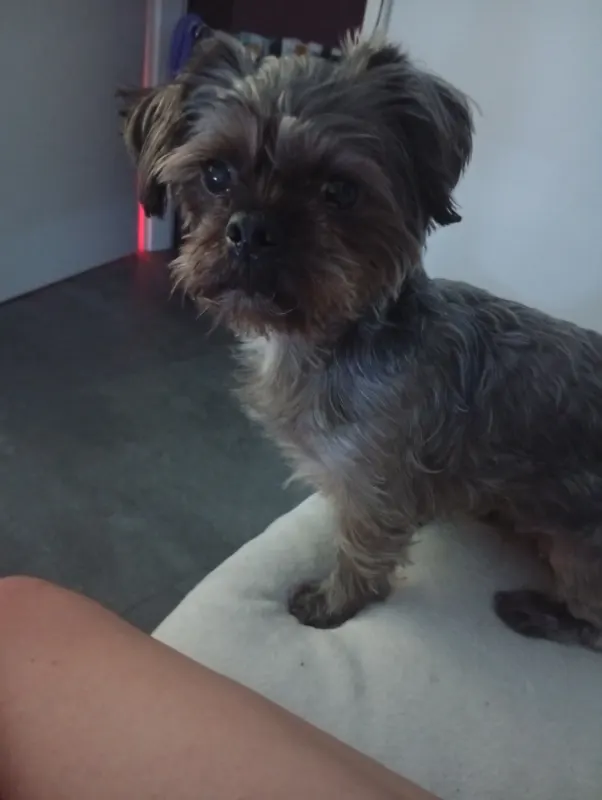 Wurzel, Gießen