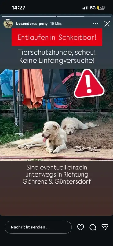 Azzura und Jolie, Markkleeberg