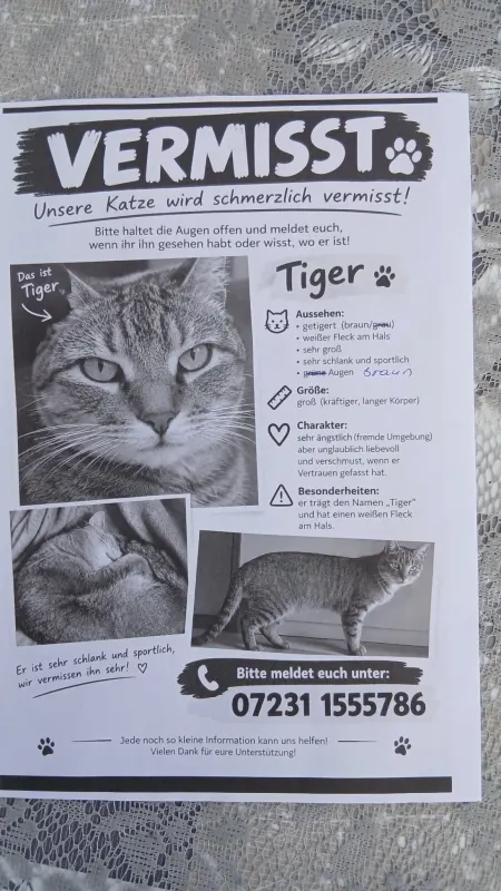 Tiger, Pforzheim