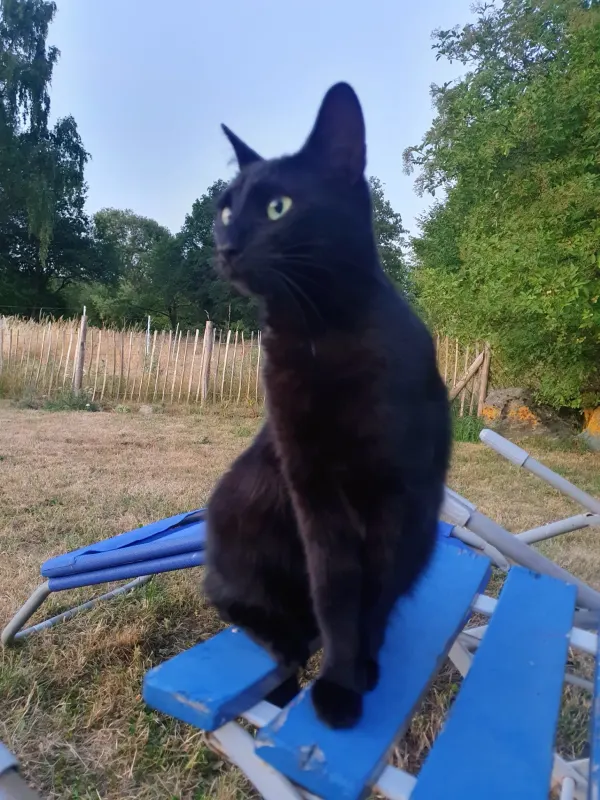 Kitty, Butzbach
