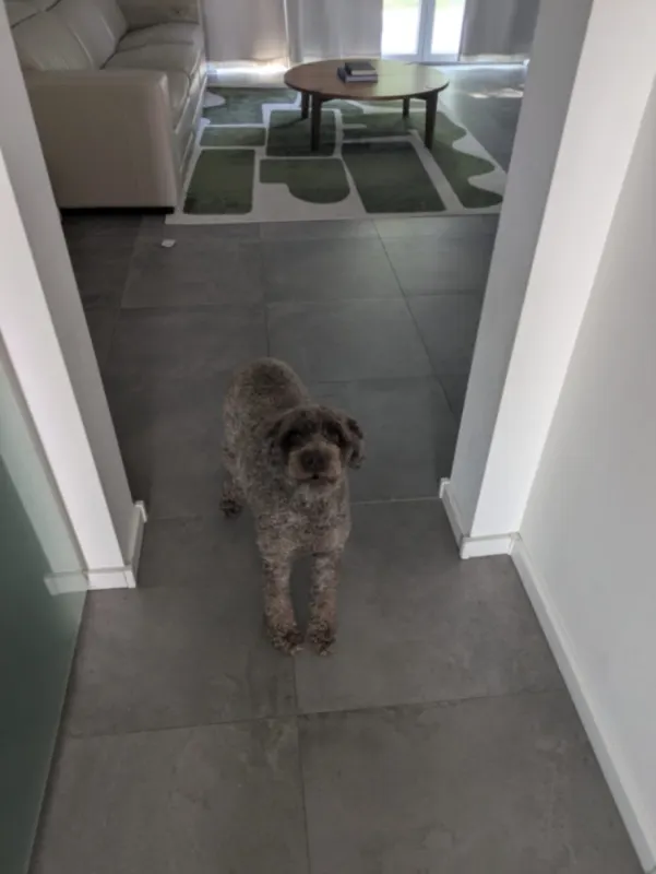 Truffle, Kaiserslautern