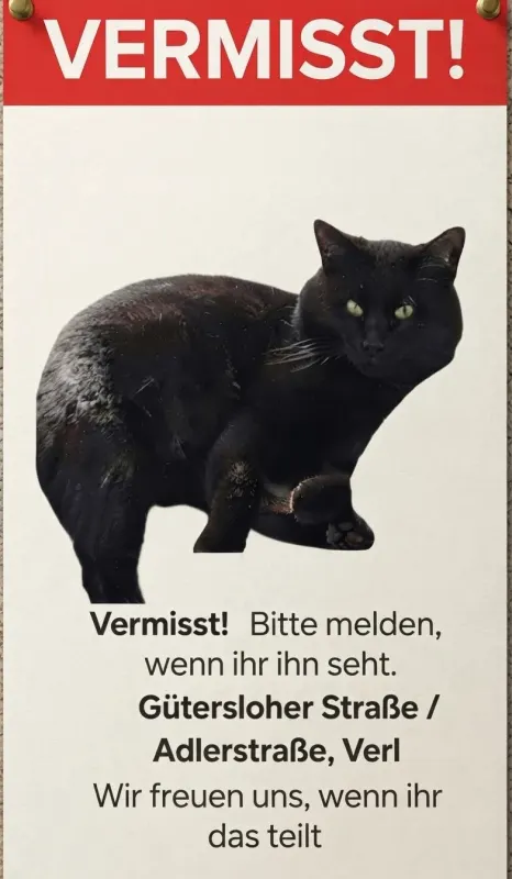 Mietzi, Verl