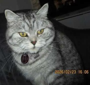 Meliana, Löhne
