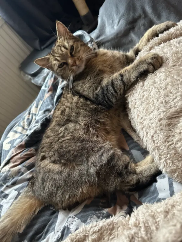 Oskar, Emden
