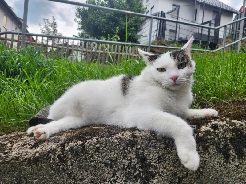 Betty, Ebersbach an der Fils
