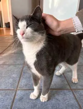 Fred, Dötlingen