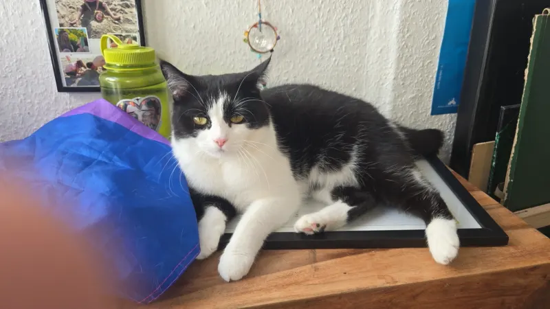 Marley, Oldenburg