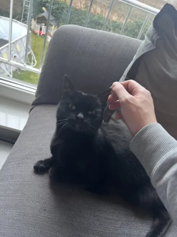 Vicki, Gronau
