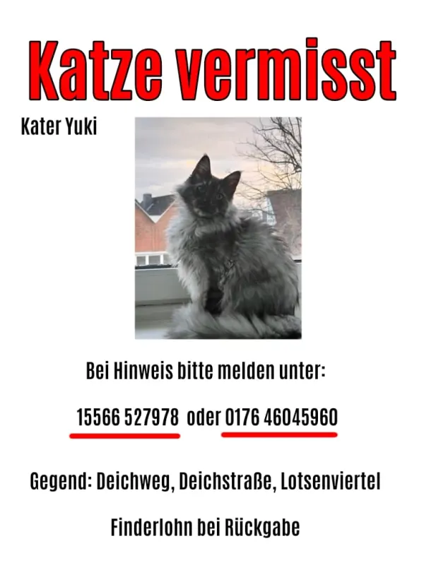 Yuki, Cuxhaven