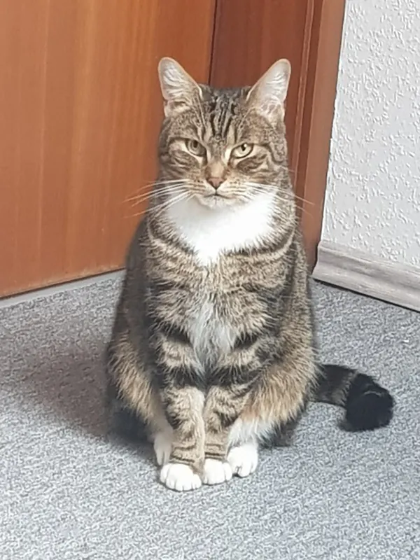 Kasper, Cuxhaven