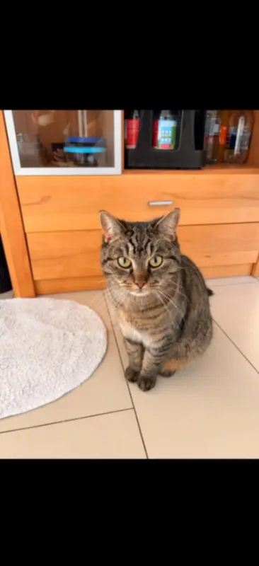 Lou, Waldkirch